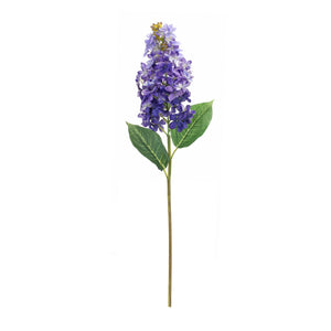 Varigated purple lilac flower stem (set of 6)