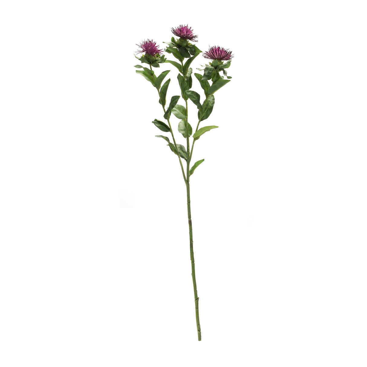 Purple thistle floral spray (set of 6)