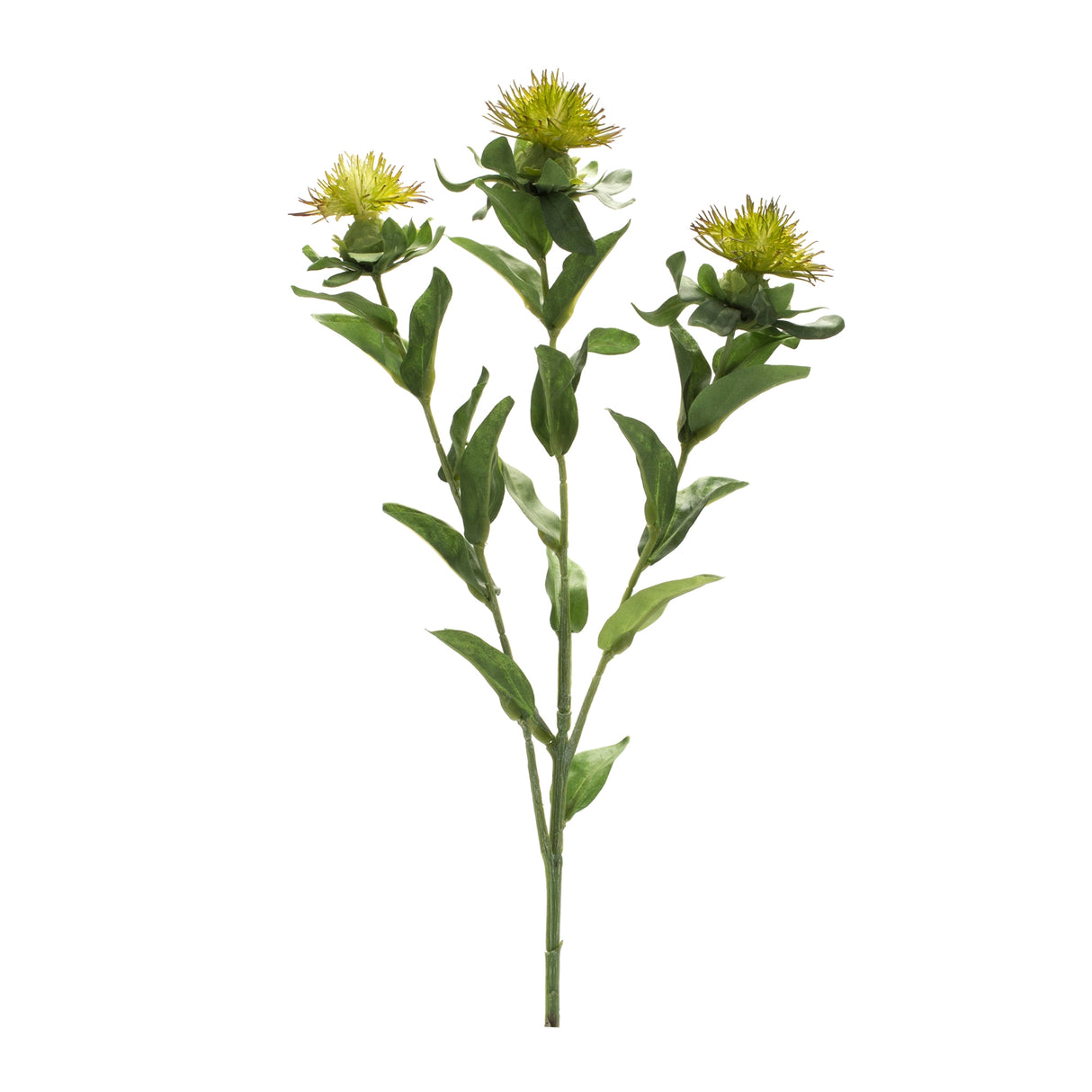 Green thistle floral spray (set of 6)