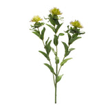 Green thistle floral spray (set of 6)