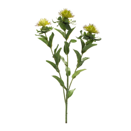 Green thistle floral spray (set of 6)
