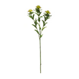 Green thistle floral spray (set of 6)