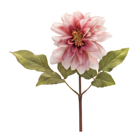 Blush pink dahlia flower stem (set of 6)