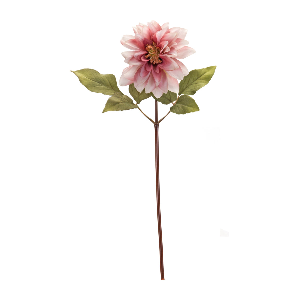 Blush pink dahlia flower stem (set of 6)