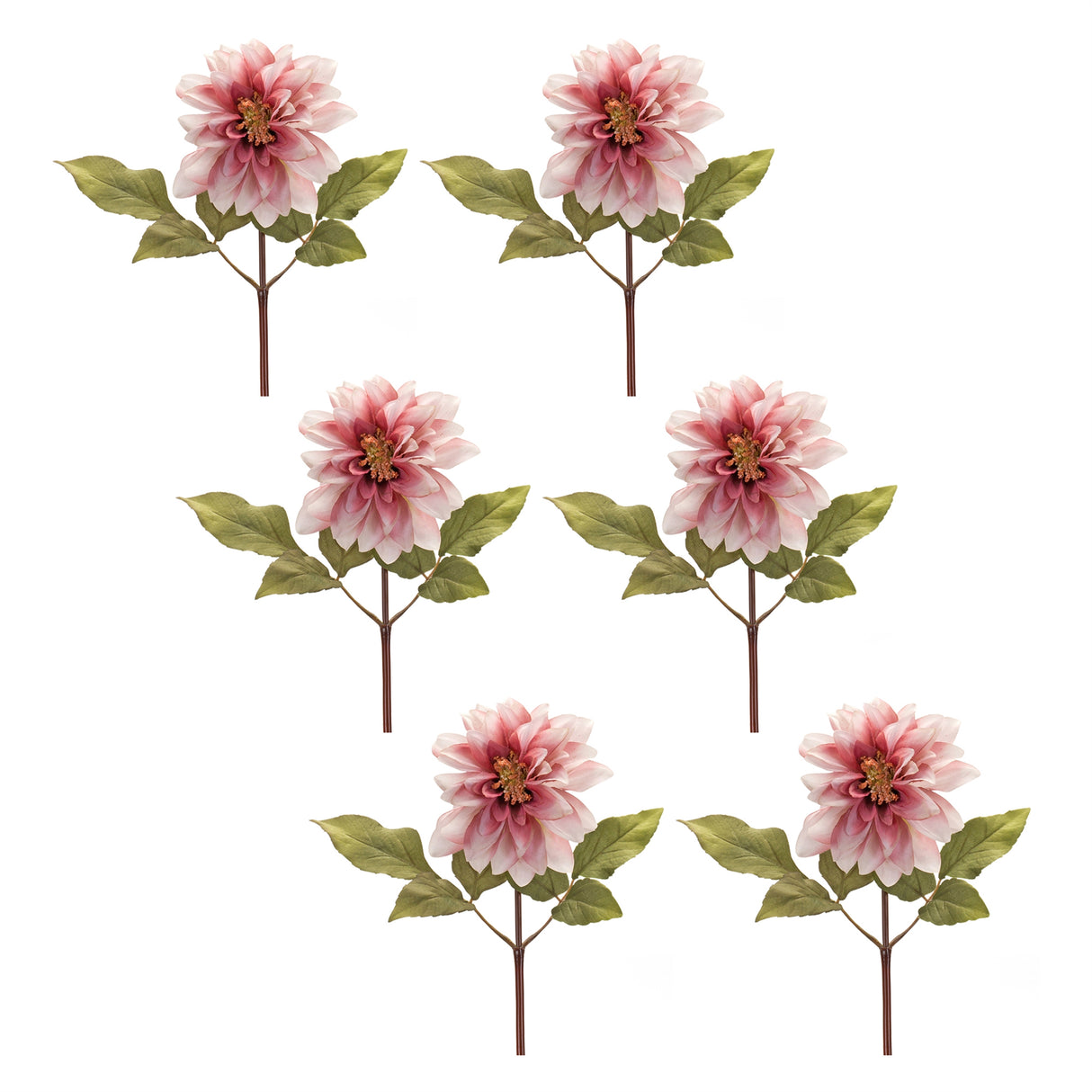 Blush pink dahlia flower stem (set of 6)