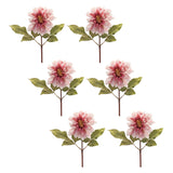 Blush pink dahlia flower stem (set of 6)