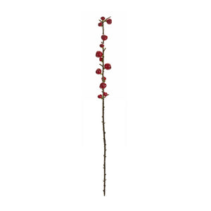 Red Berry Twig Stem (Set of 6)