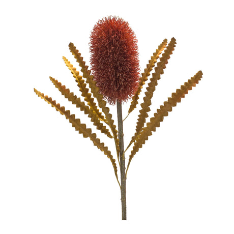 Burnt orange banksia floral stem (set of 6)