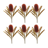 Burnt orange banksia floral stem (set of 6)