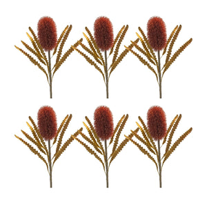 Burnt-Orange-Banksia-Floral-Stem-(Set-of-6)-Artificial-Flowering-Plants