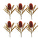 Burnt-orange-banksia-floral-stem-(set-of-6)-Artificial-Flowering-Plants