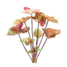 Varigated-caladium-bush-(set-of-6)-Floral-&-Greenery