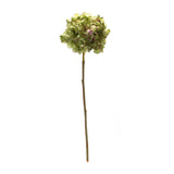 Green hydrangea flower stem (set of 6)