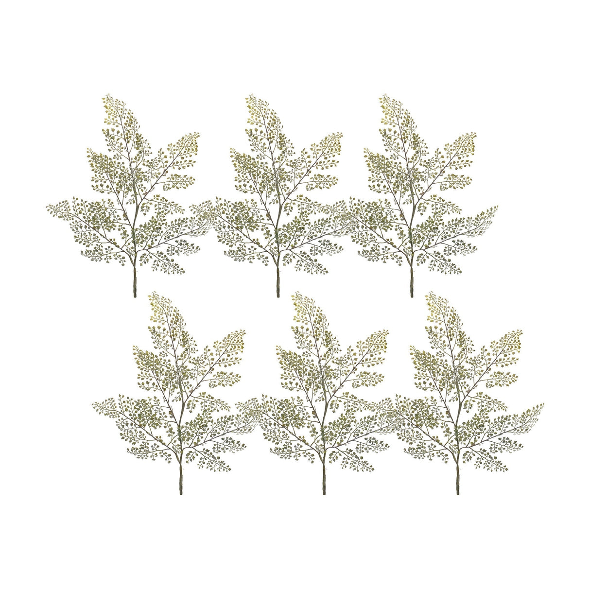 Maiden Hair Fern Foliage Spray (Set of 6)