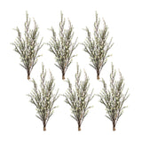 Leptospermum bundle (set of 6)