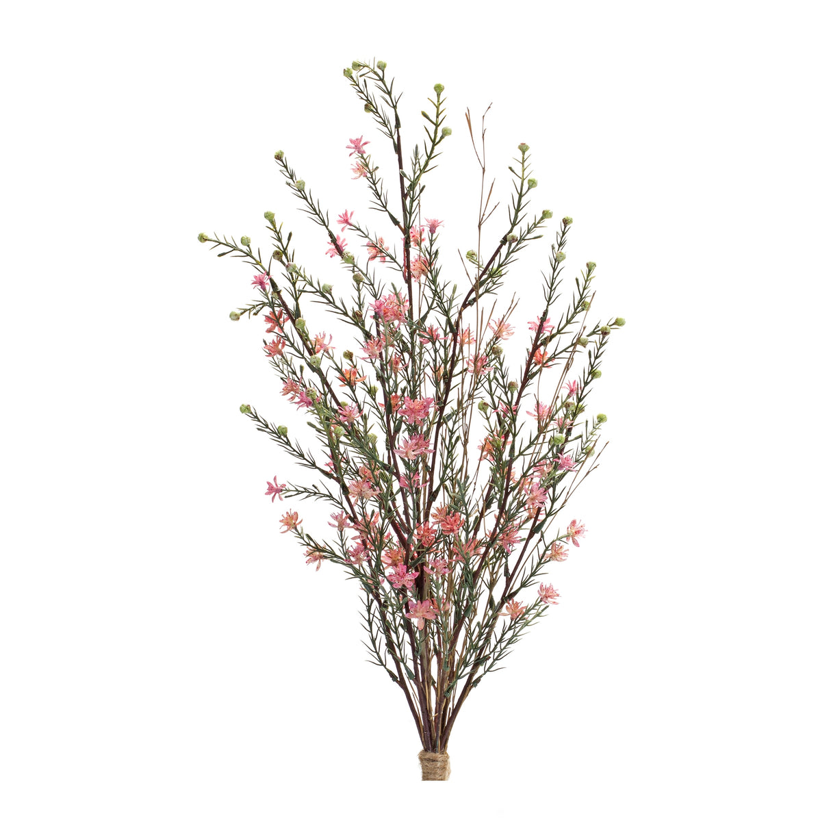 Leptospermum flower bundle (set of 6)