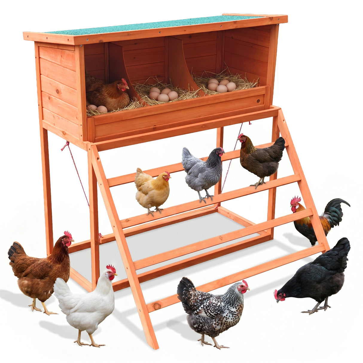 3-in-1 Nesting Boxes for Chickens with Perch and Swing