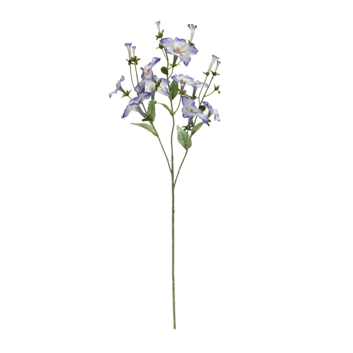 Morning Glory Bud Flower Spray (Set of 6)