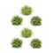Varigated-Mini-Leaf-Half-Orb-(Set-of-6)-Artificial-Flowering-Plants