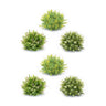 Varigated Mini Leaf Half Orb (Set of 6)