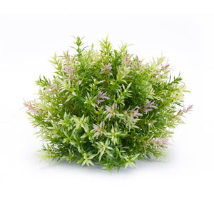 Varigated Mini Leaf Half Orb (Set of 6)