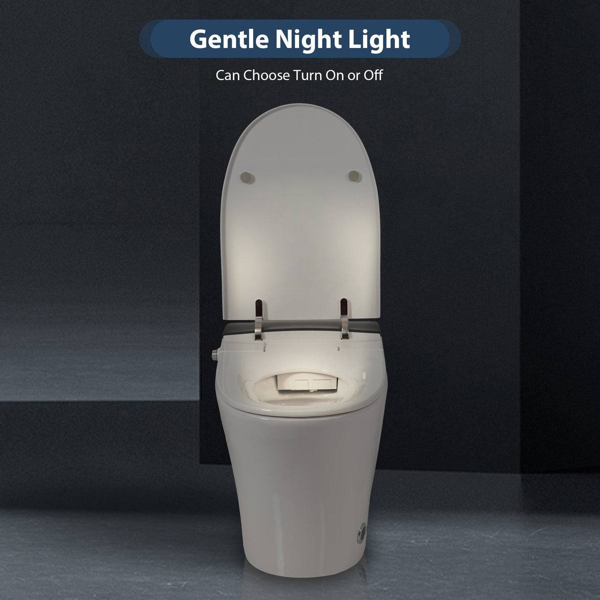Heated Seat Smart Toilet, One Piece Design