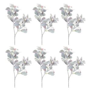 Lamb's Ear Leaf Bush (Set of 6)