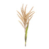Astilbe stem (set of 12)