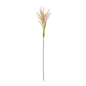 Astilbe stem (set of 12)