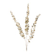 Silver-Glittered-Eucalyptus-Spray-(Set-of-6)-Christmas-Decor