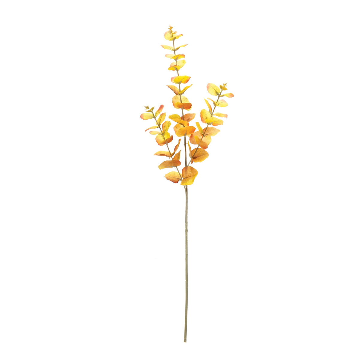 Harvest Eucalyptus Spray (Set of 6)