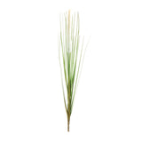 Foxtail bush (set of 12)