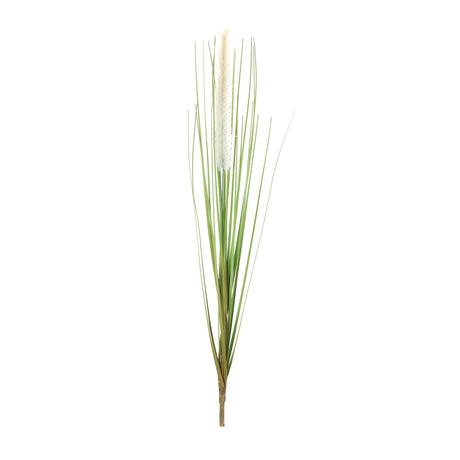 Foxtail bush (set of 12)