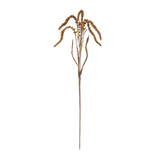 Amaranthus stem (set of 12)