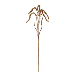Amaranthus stem (set of 12)