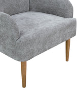 The Caroline Chenille Upholstered Accent Chair