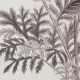 Verdura Botanica: Four-Print Houseplant Pencil Art Set