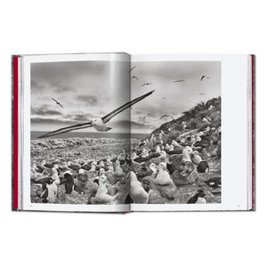 Sebastião Salgado. Genesis. 45th Ed. (English)