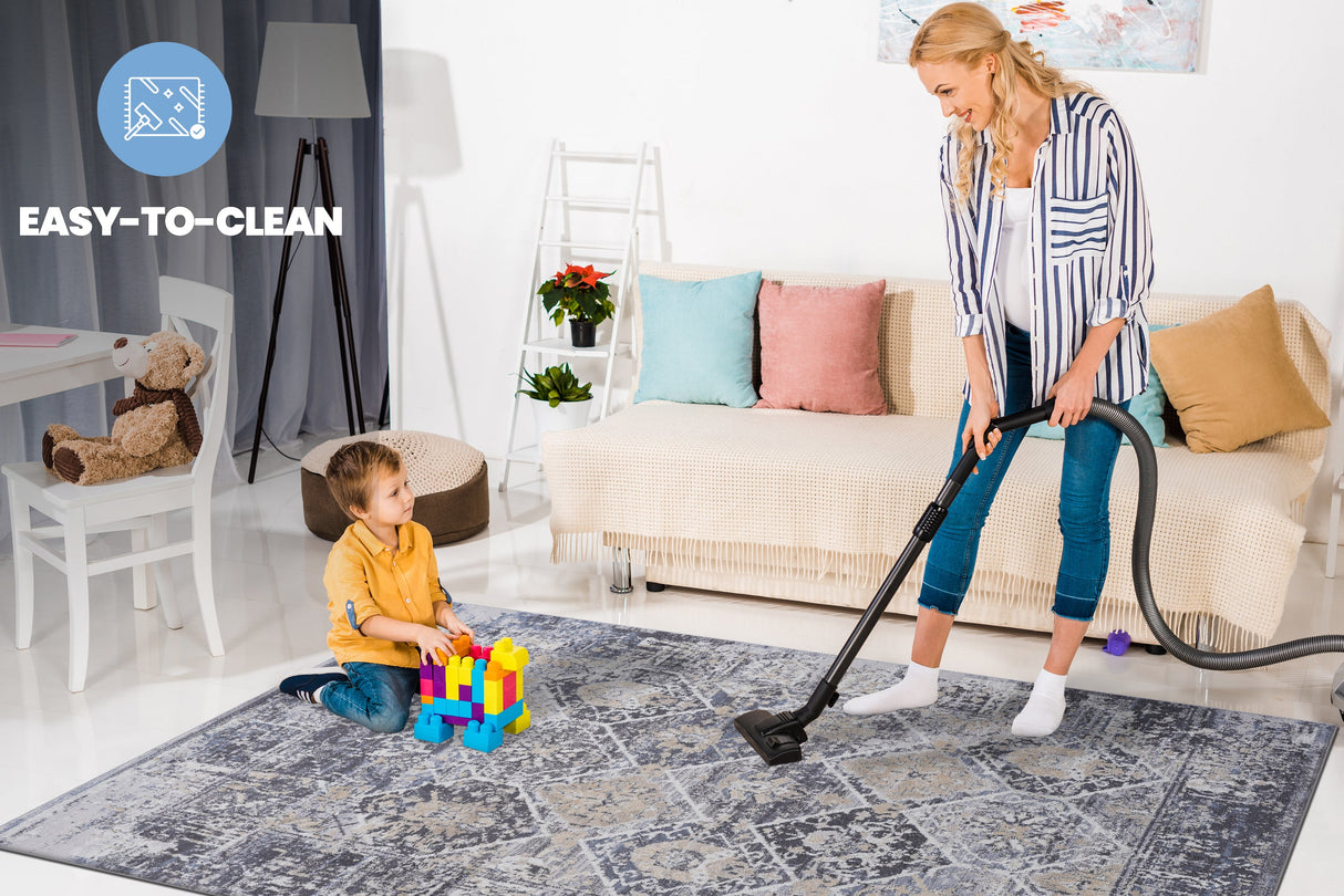 NAAR PAYAS Traditional Non-Shedding and Stain Resistant Area Rug