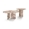 Elegant Coffee Duo Table Set