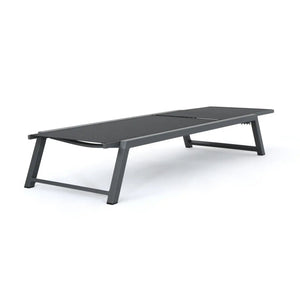 Myers Modern Chaise Lounge Set With Adjustable Back