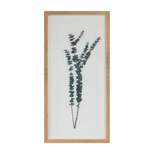 Dried Eucalyptus Frame (Set of 2)