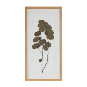 Dried Eucalyptus Frame (Set of 2)