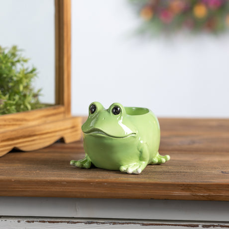 Mini frog planter (set of 2)