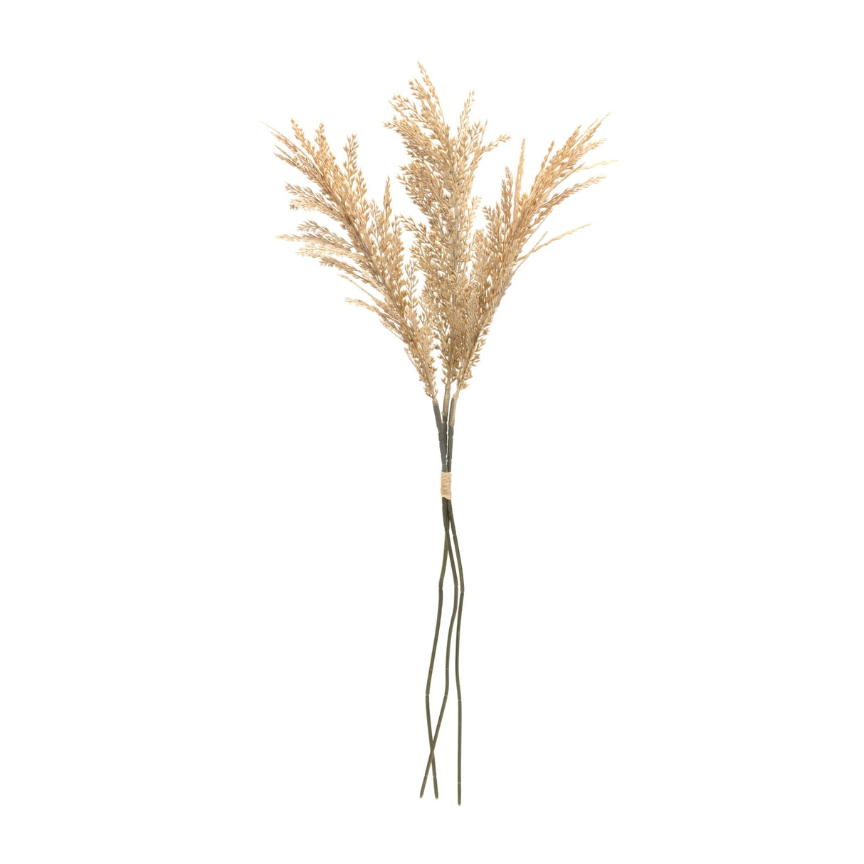 Plume bundle (set of 6)
