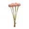 Pink-pod-bundle-(set-of-6)-Artificial-Flowering-Plants