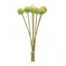 Pod-Bundle-(Set-of-6)-Artificial-Non-Flowering-Plants