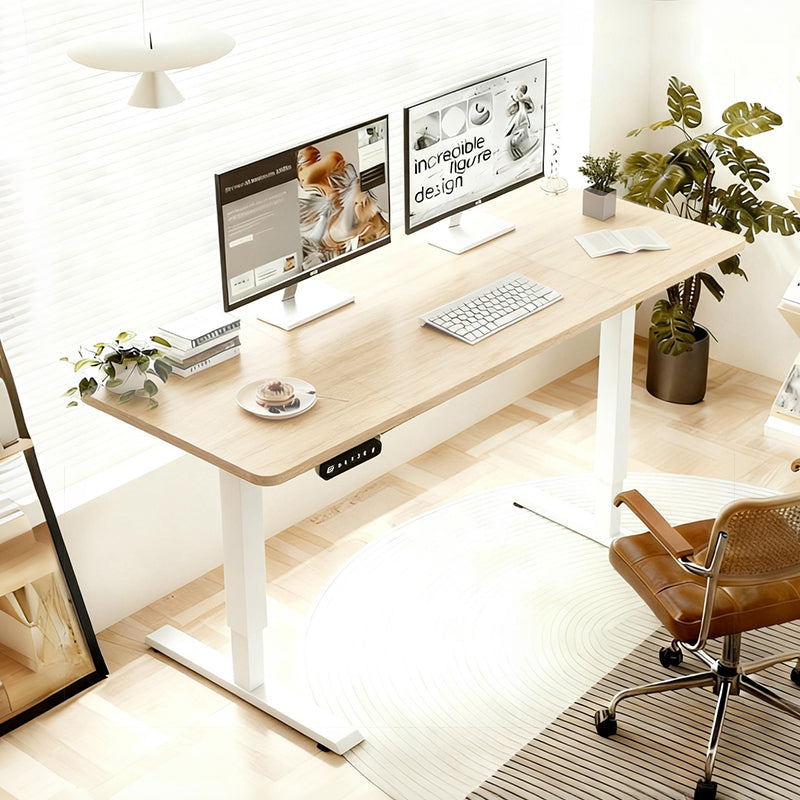 55"×24" Light Electric Standing Desk