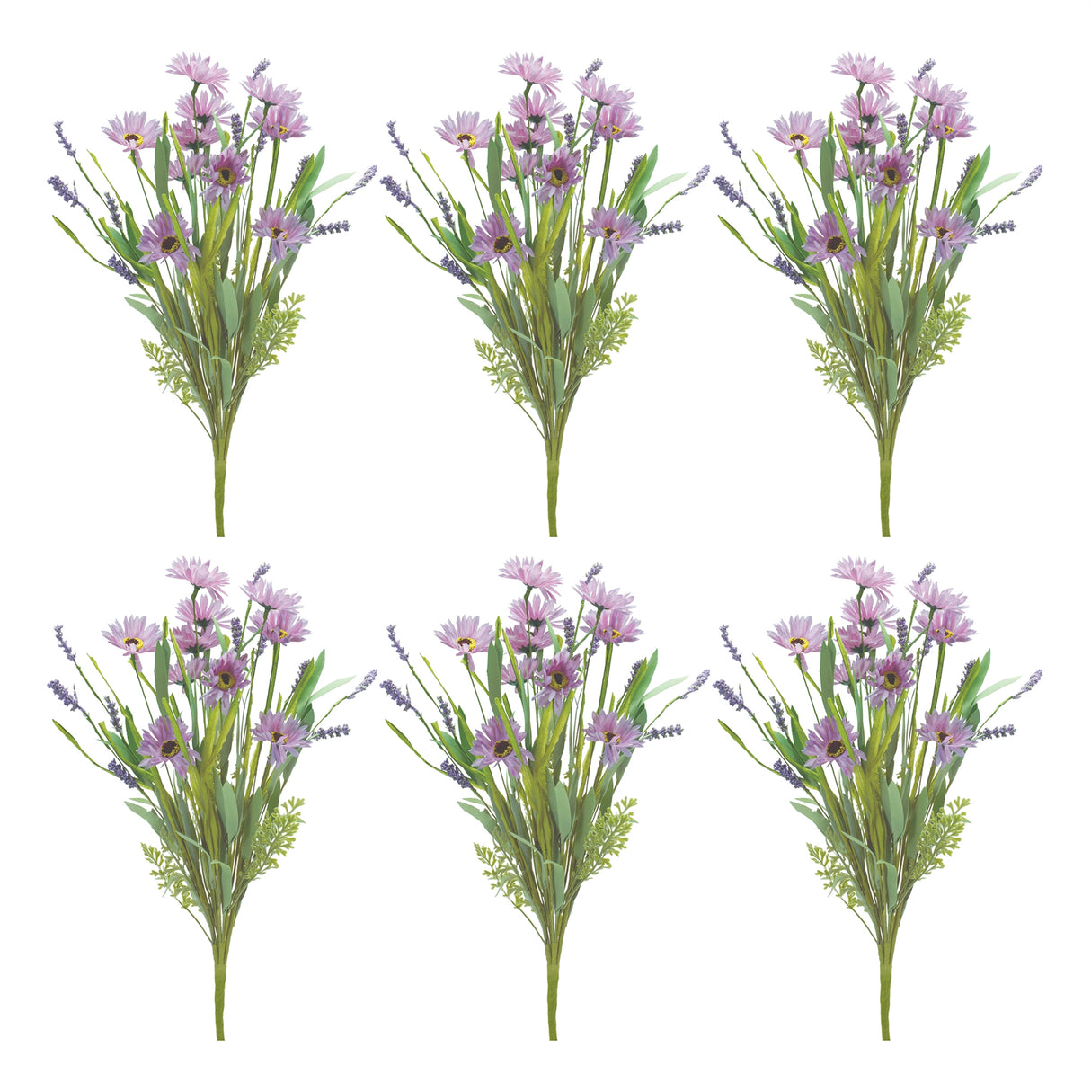 Pruple mixed daisy bush (set of 6)