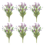 Pruple mixed daisy bush (set of 6)